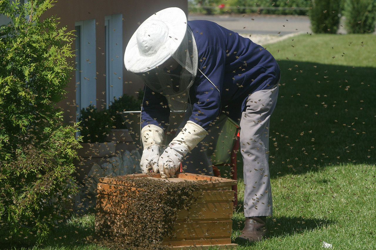 bee keeper