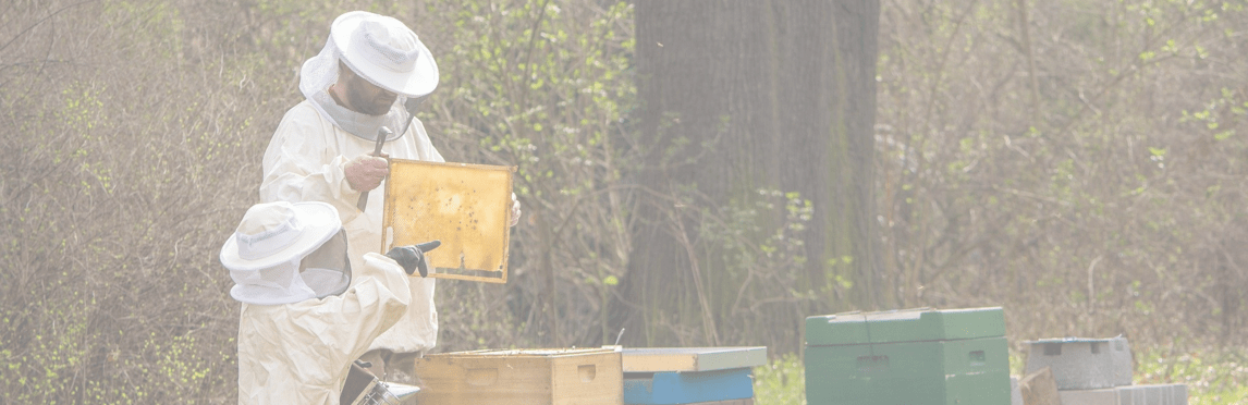 bee keeper